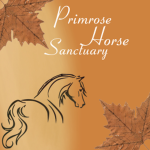*•Primrose Horse Shelter•*