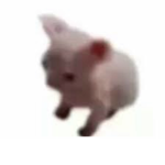 ᴍʏ ɢʀᴏᴜᴘ~