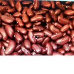 The Ultimate Bean Clan
