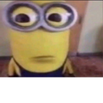 _ThE_MiNiOnS_
