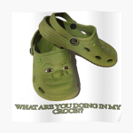 croc roaches