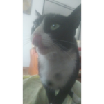 Intentando hacer ropas :o