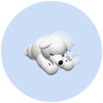 Bork