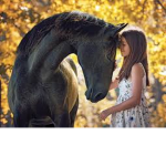 Spirit Riding Free Fan Club