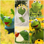 That Frog