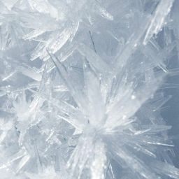 —̳͟͞͞ ❄ +