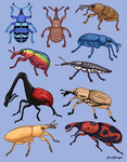 Weevil Clan!