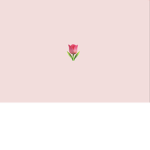 +- xoxo clothing -+