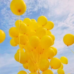 🌻