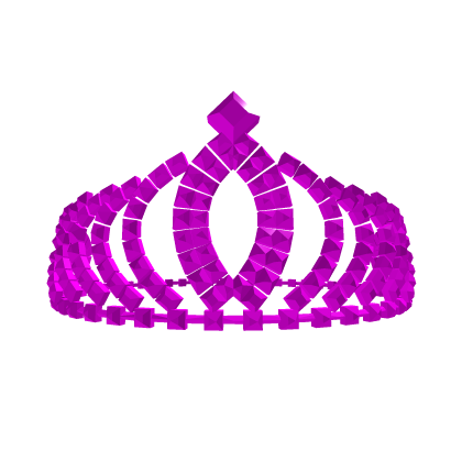 ✨Perfect Legitimate Crown Tiara Purple💎