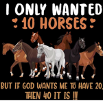 Sweetie pie my pony