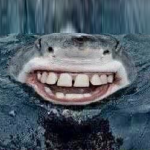 Sinister Shark