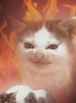 눈꽃즈 팬클럽