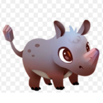 Rock rhino fan club