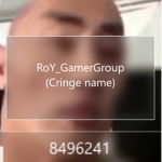 RoY_GamerGroup