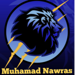 MN the Lion