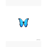 Aesthetic._.Butterfly