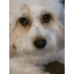 EMMA :D :)