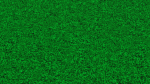 grassyXD