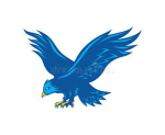 TA| tico airlines