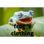 frog's stuff