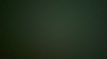 Froggo Play Store