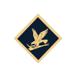 TSS: Security Forces