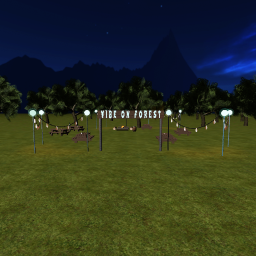 Vibe on Forest