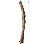 Stick buddys