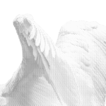 celairvoyant