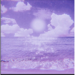 Lavender lilacs