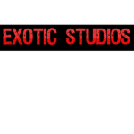 Anx Studios