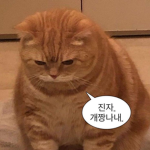 야 들어오지마 반모자,절친만 들어와