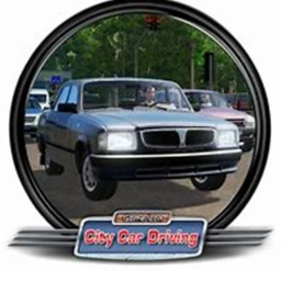 Pro racer icon