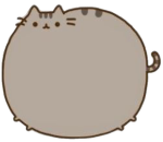 vzqr