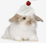 Sprinkles’ Tea Time