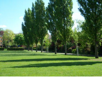 City Park