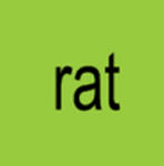 Rat’s Clothing!!