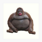 FUNNY MONKE!!!!!!!!!!!!!!!!!!!!!!!!!!!!!!!!!!!!!!!