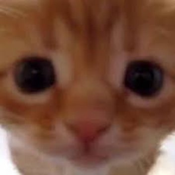 very cool minigame experience