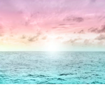 ᴀᴠᴀ’s ʙᴏᴜᴛɪǫᴜ