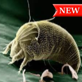 bug tunnal [BUG VISION]