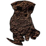 Dirt Bingus
