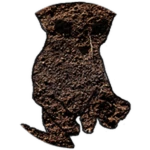 Dirt Bingus