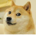 dogUwU