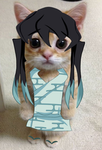 ~The Cat Fam~