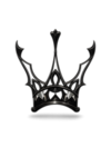Тhe Dragon Guard