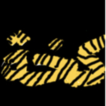 Adamkmala