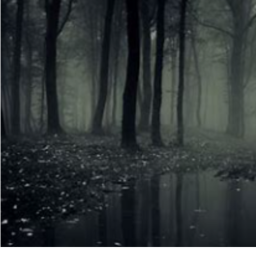 Midnight Terror