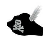 THE ROBLOX PIRATE